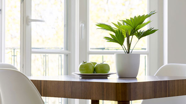 window, Hamburg | NICKEL Fenster-Türen-Tore-Wintergärten, Klingenthal